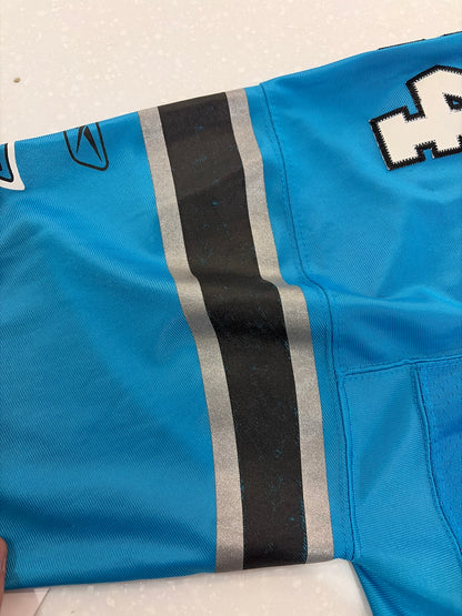 00s Carolina Panthers DeAngelo Williams Blue Stitched Flawed Jersey (XL)