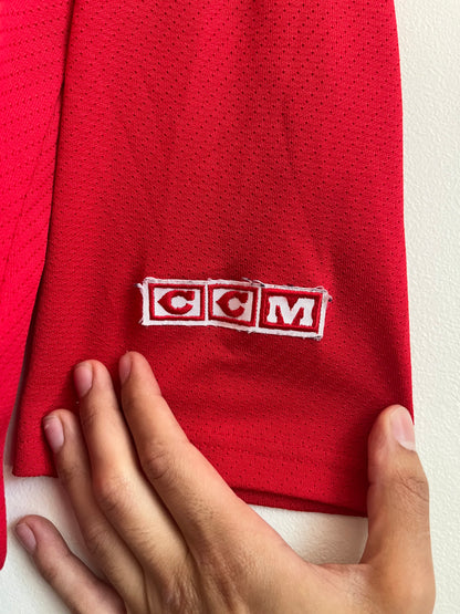 90s Detroit Red Wings CCM Hockey Jersey (XL)