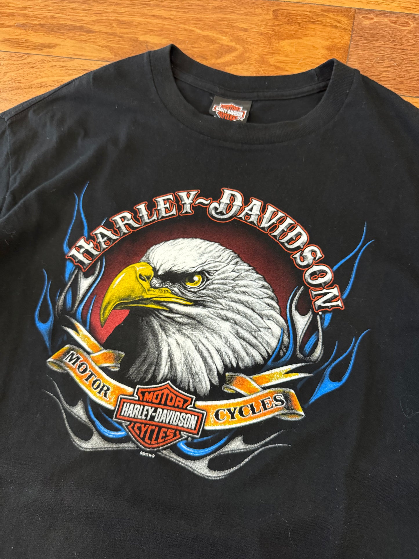 2013 Harley Davidson Iowa Flaming Eagle Vintage Tee (XL)