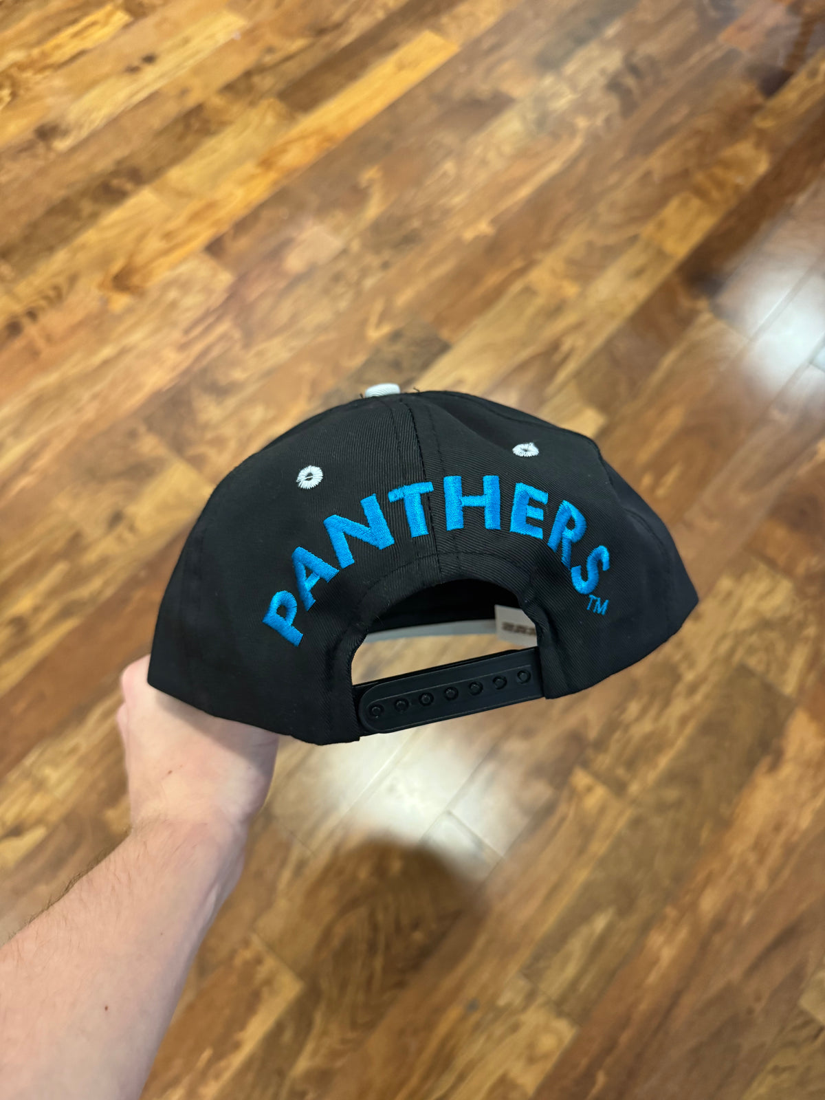 90s Carolina Panthers Big Logo Essential Hat (OS)