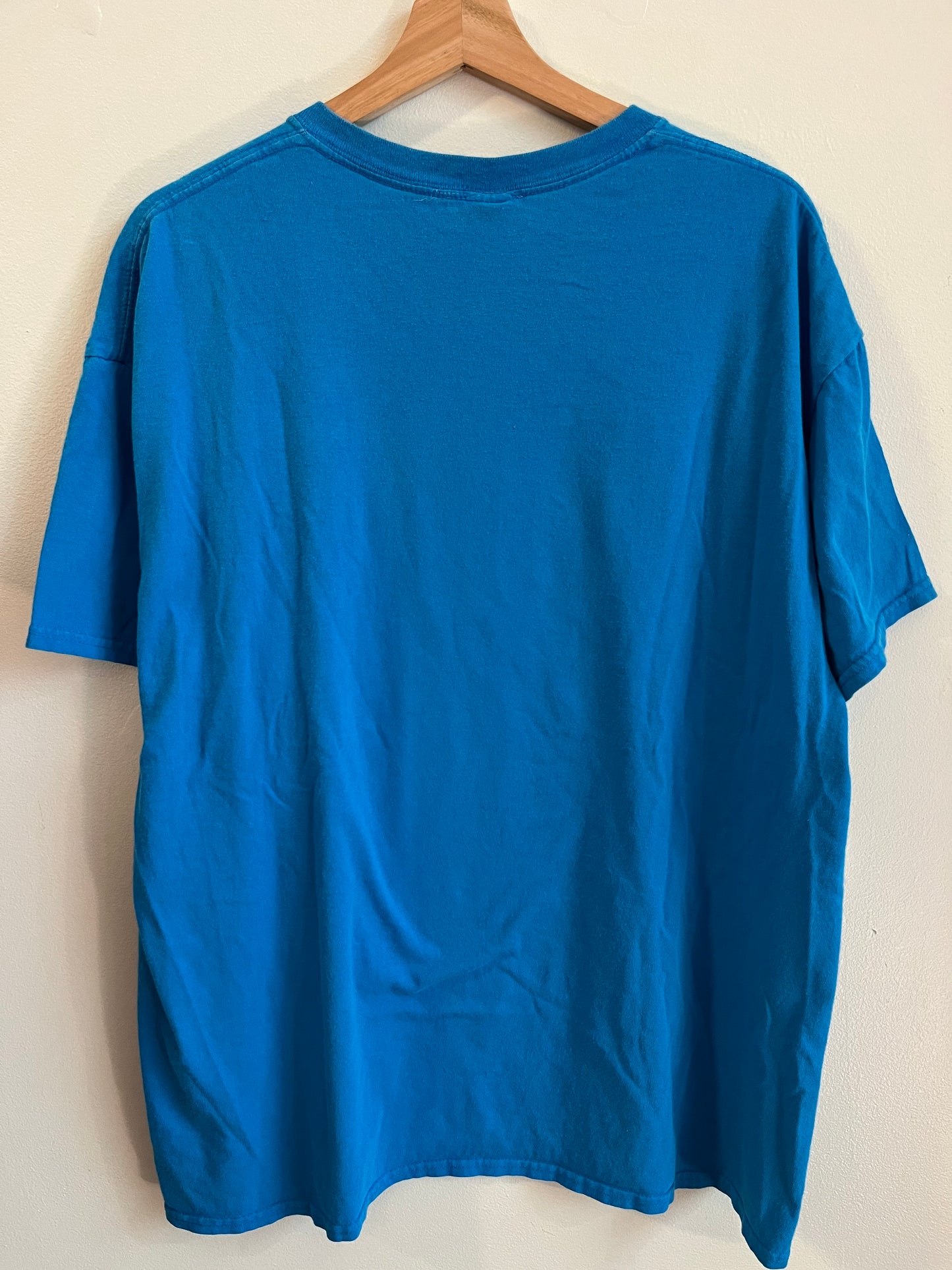 2010s Carolina Panthers Spell Out Essential Tee (XL)
