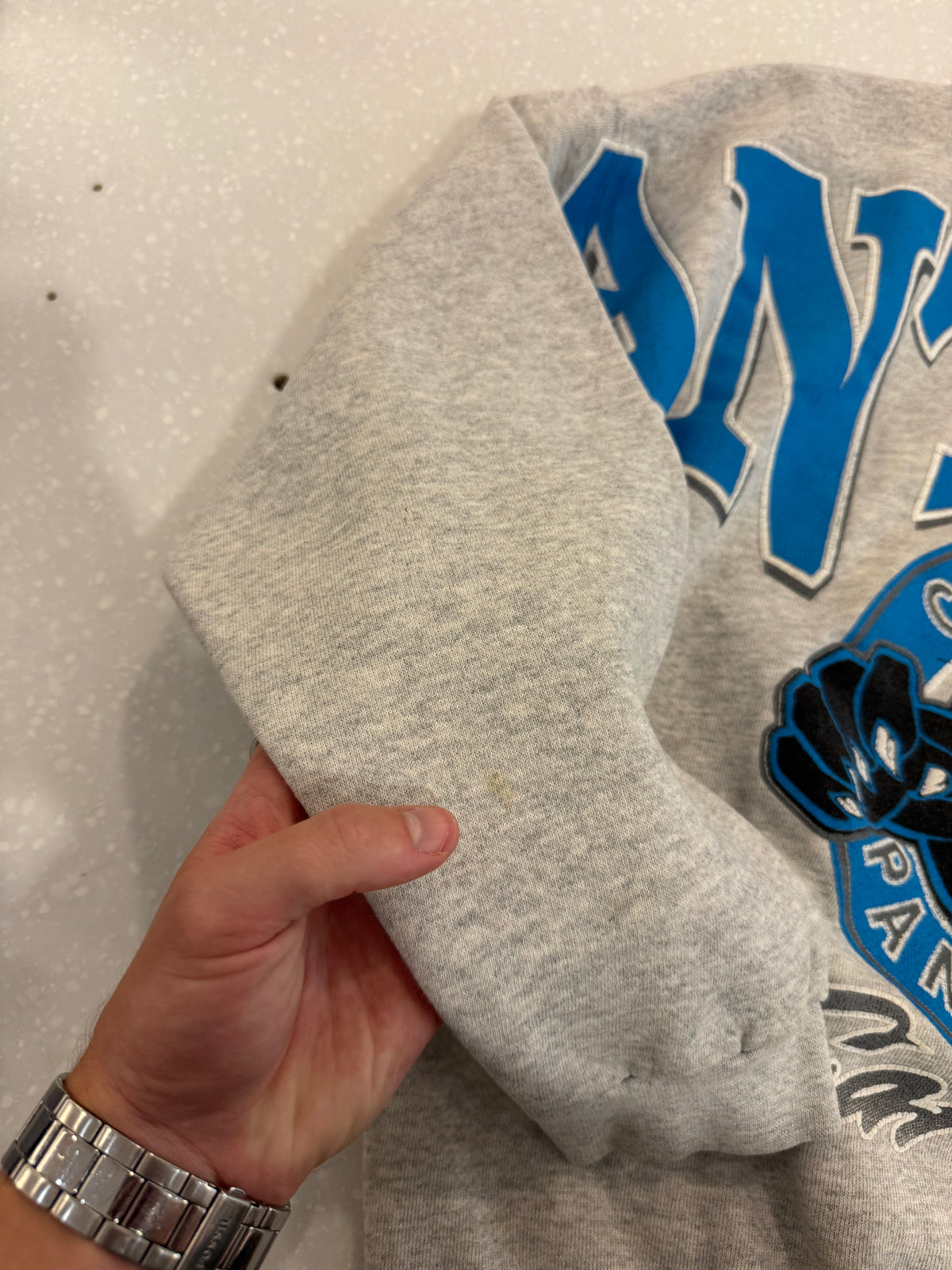 90s Carolina Panthers Sleeve to Sleeve Grey Spell Out Crewneck (M)