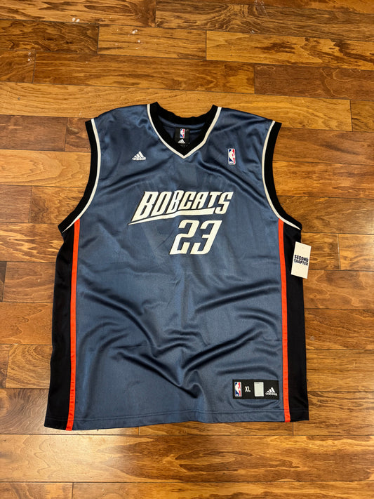 00s Charlotte Bobcats Jason Richardson Vintage Jersey (XL)