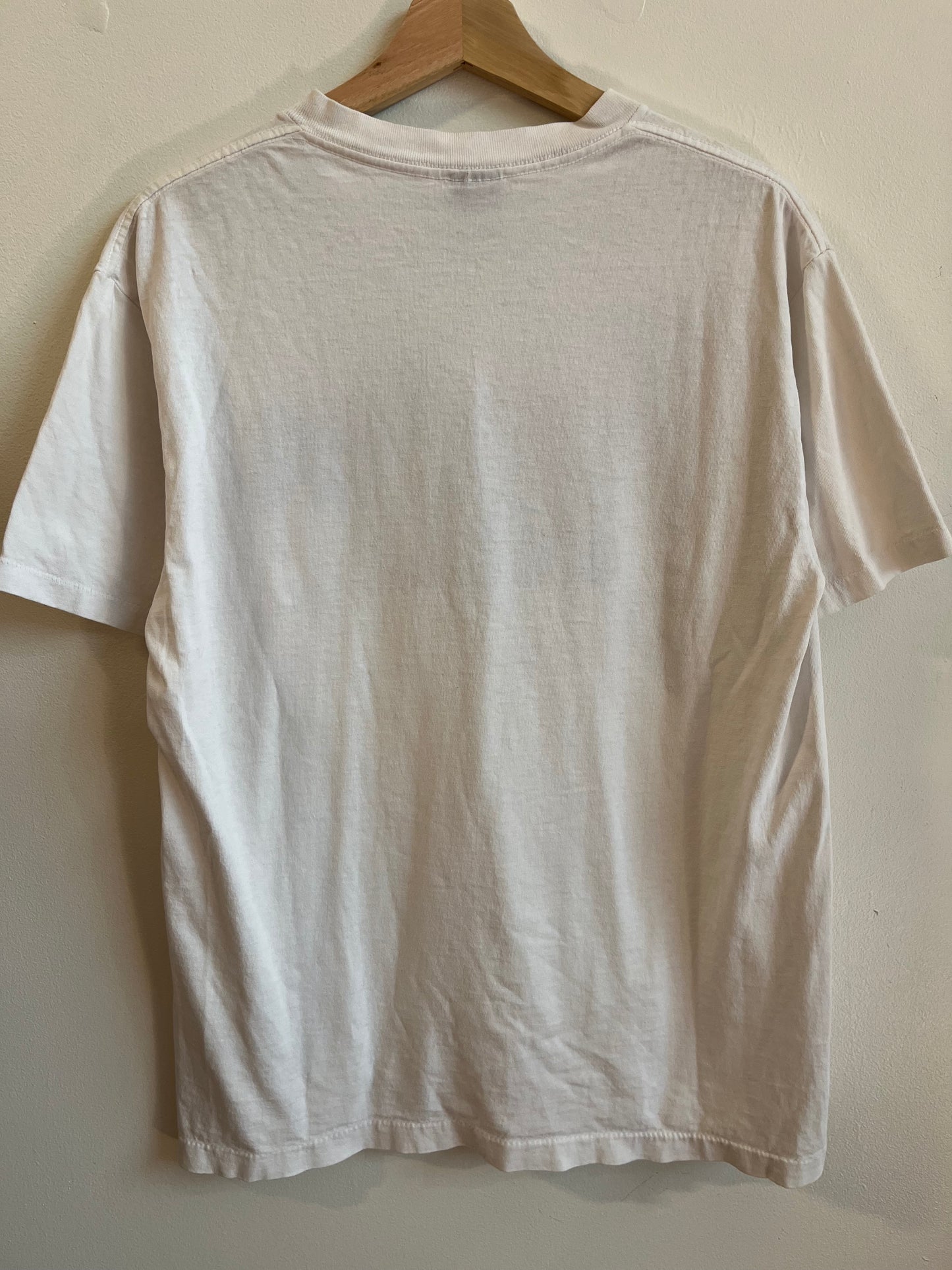 1996 Space Jam "Jordan Jam" Warner Bros Looney Tunes Tee (L)
