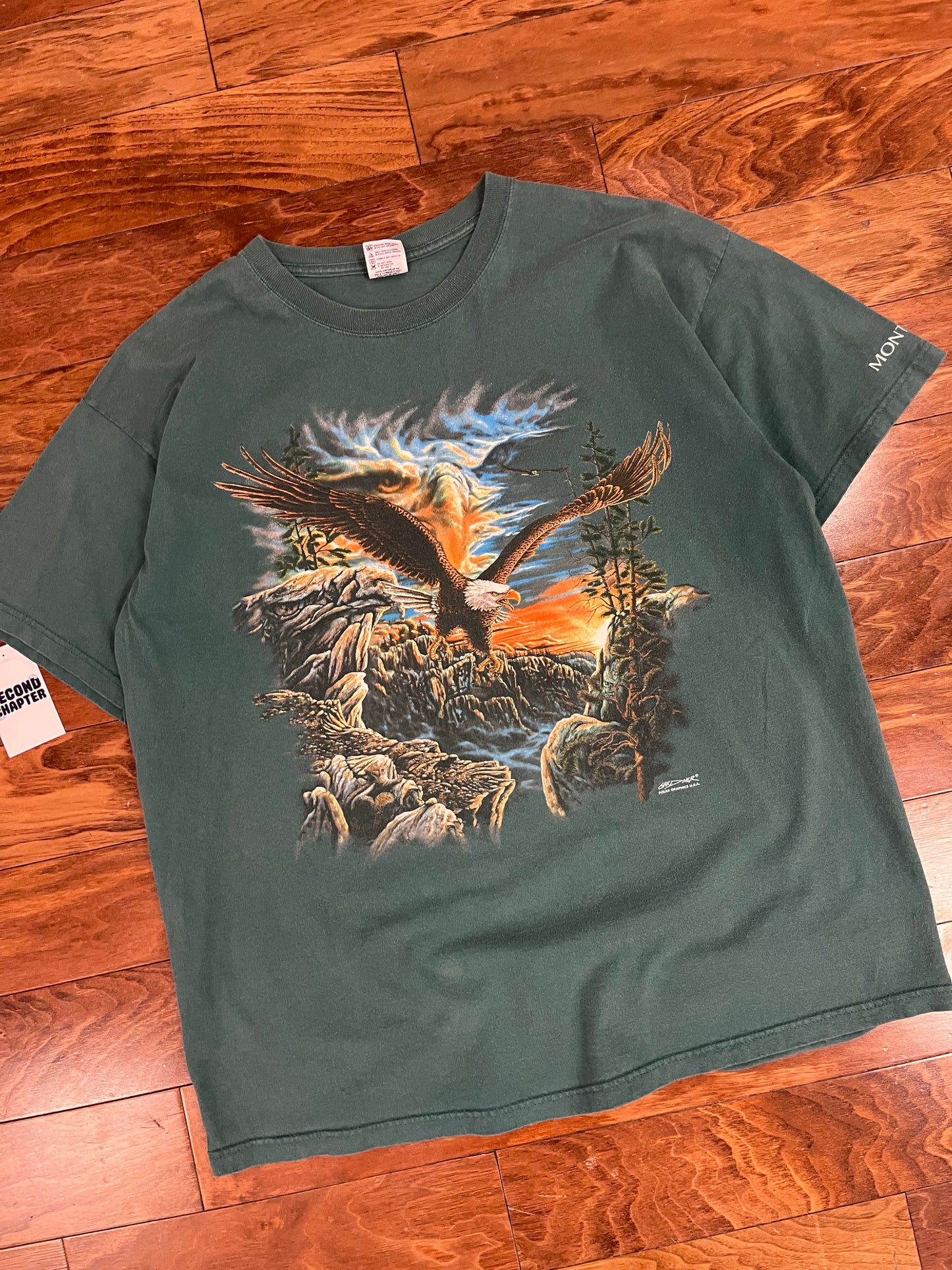 90s Eagle Polar Graphics Nature Tee (XXL)