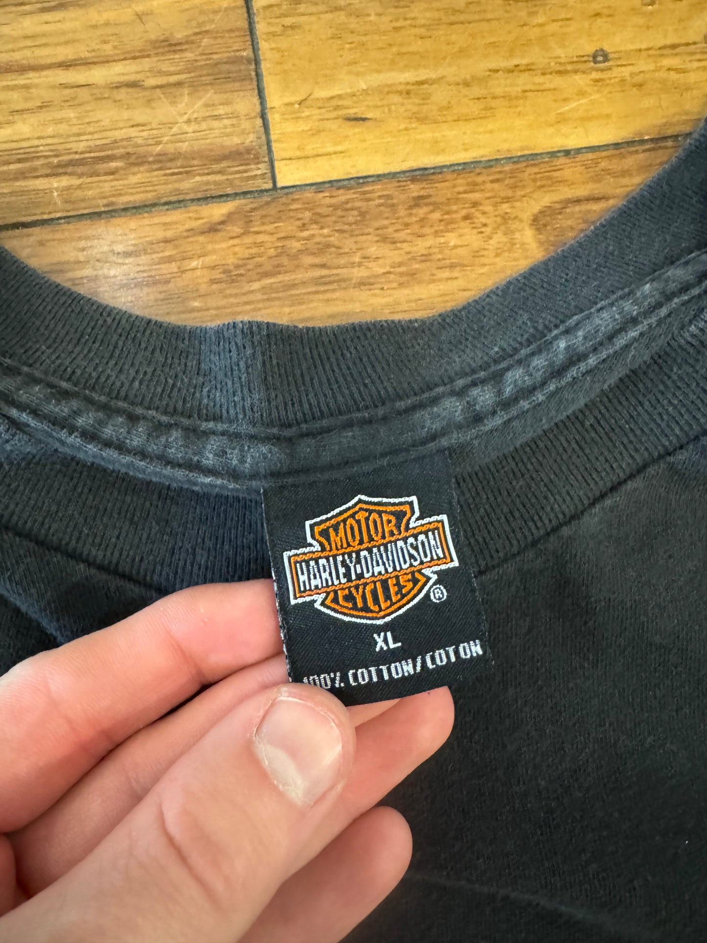 2002 Harley Davidson Pensacola, FL Vintage Tee (XL)