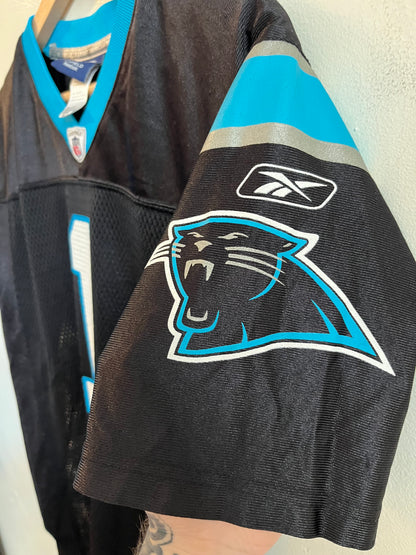 2010s Carolina Panthers Cam Newton Reebok Rookie Jersey (Youth L)