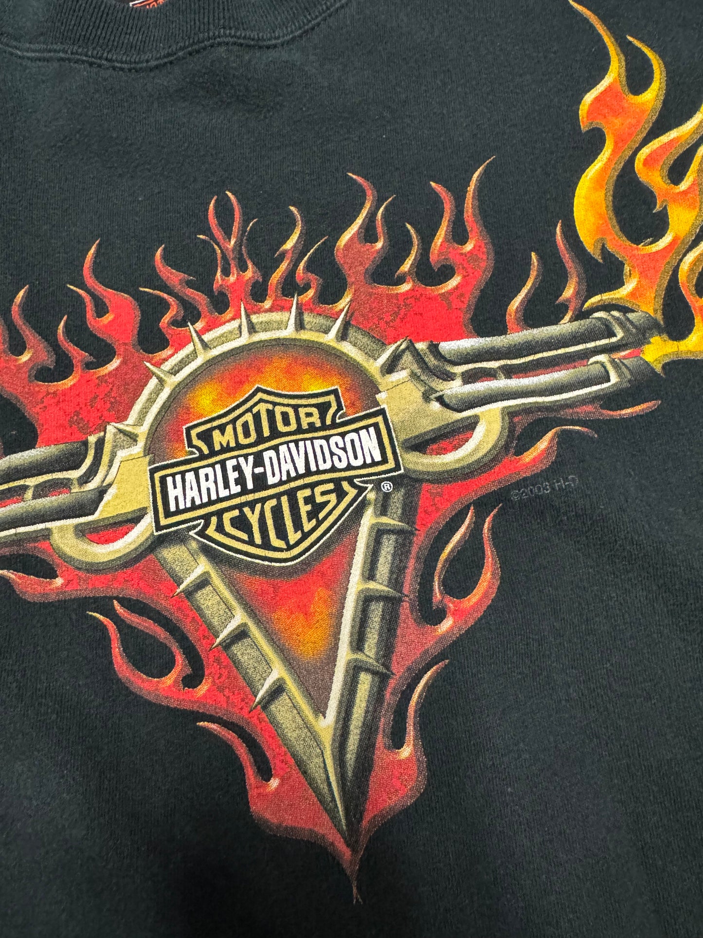 2003 Harley Davidson Vintage Flames Long Sleeve Shirt (XXL)