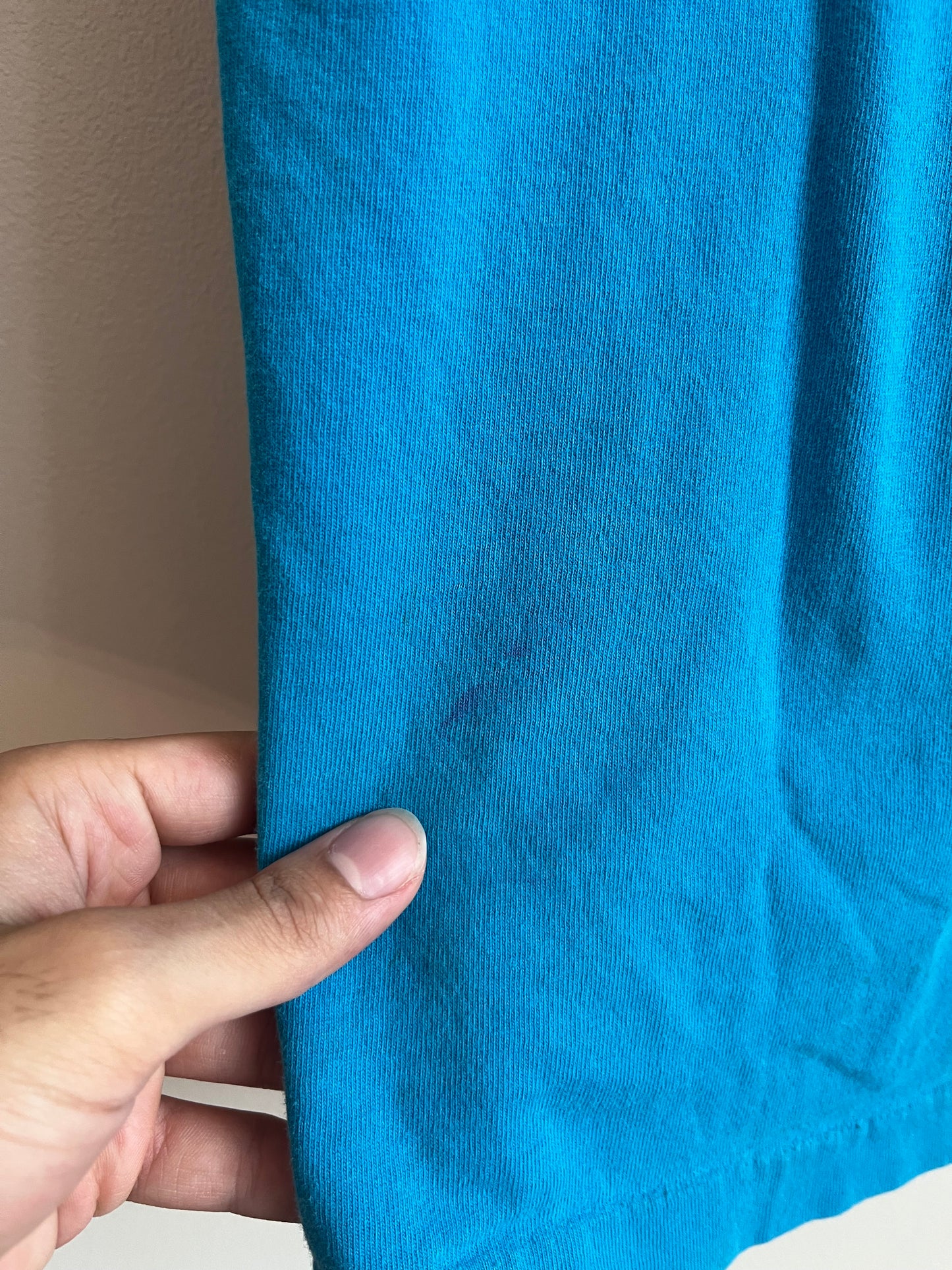 1996 Carolina Panthers Blue West Division Stained Tee (L)
