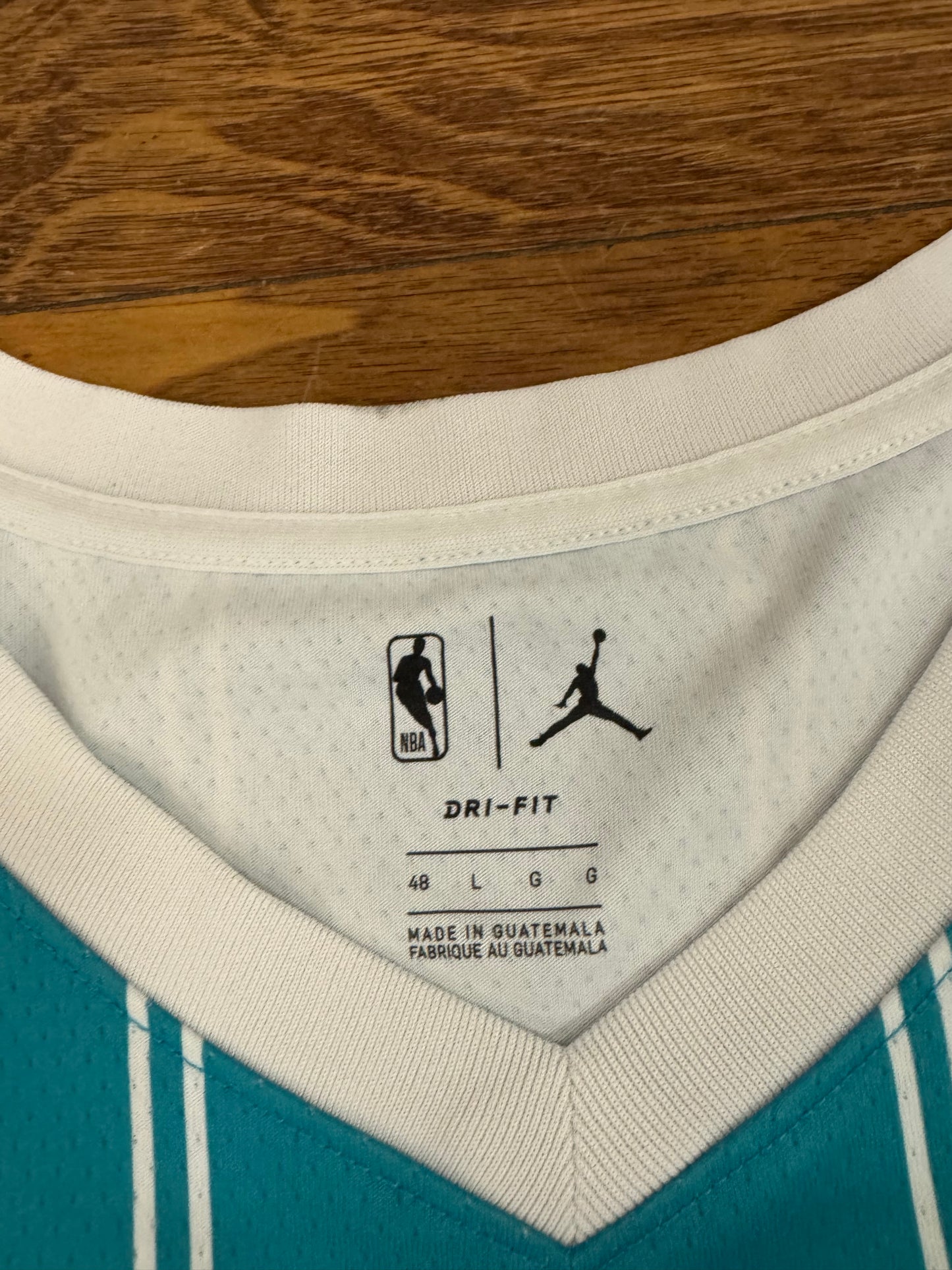 Charlotte Hornets LaMelo Ball Pinstripe Jersey (L)