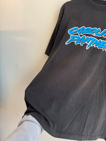 00s Carolina Panthers DeAngelo Williams Cat Scratch Tee (L)