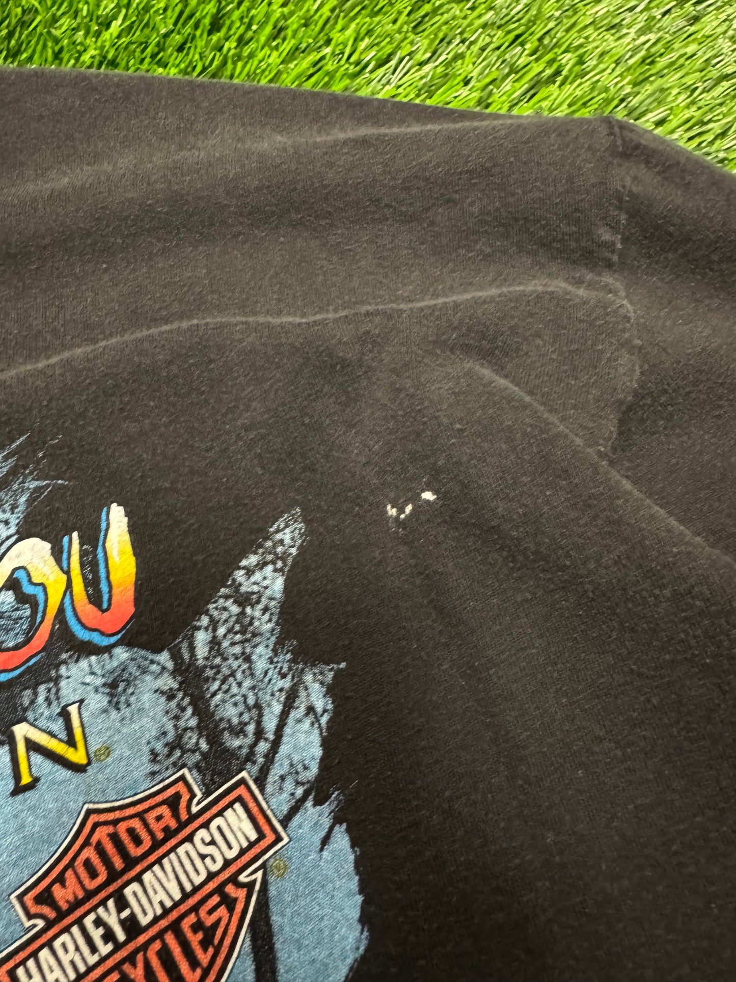2000 Harley Davidson Louisiana Easy Rider Vintage Biker Tee (XL)