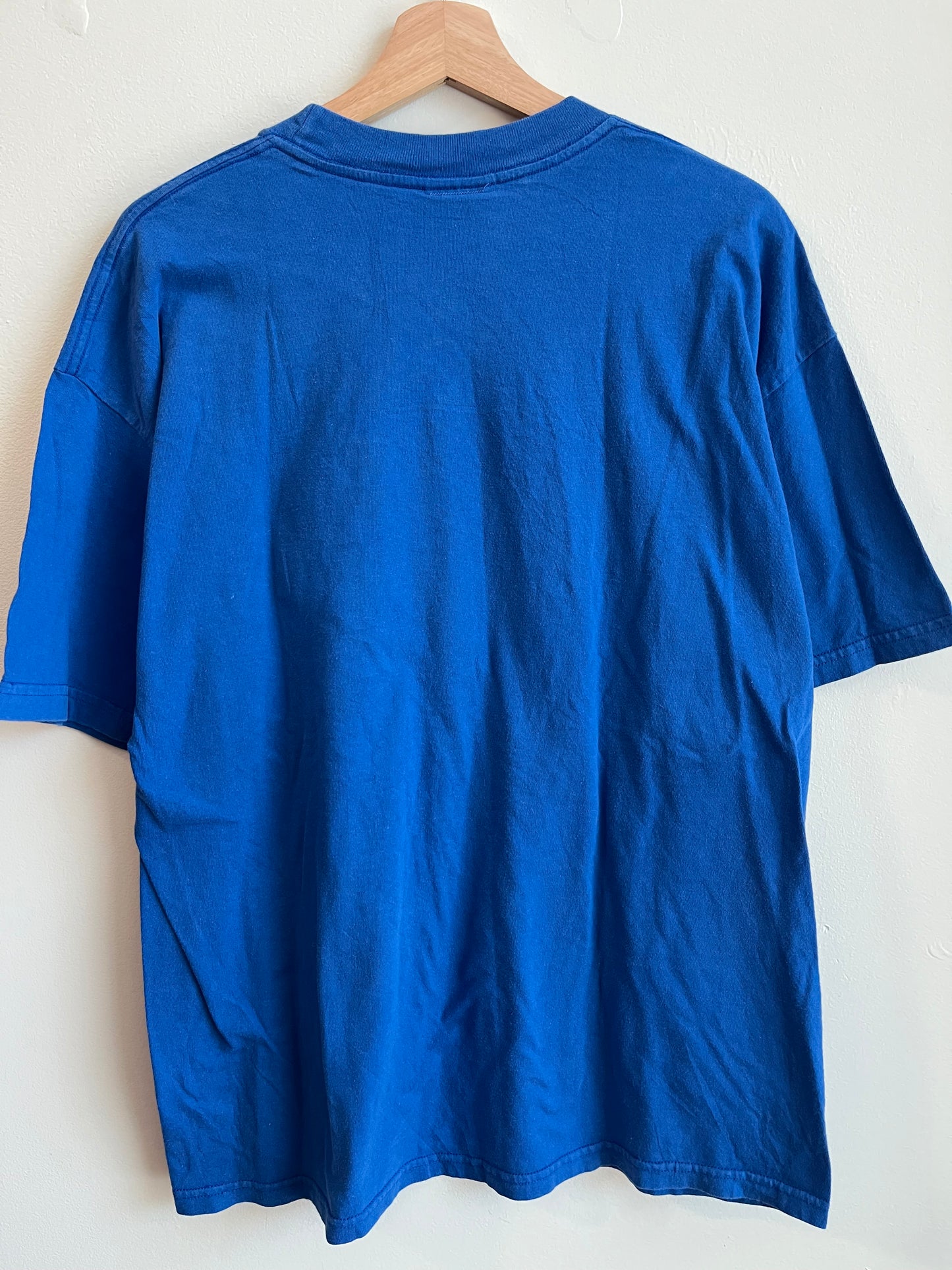 90s Detroit Lions True Fan  Embroidered Tee (XL)