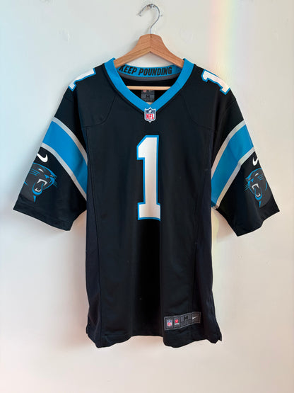 2010s Carolina Panthers Cam Newton Home Jersey (M)