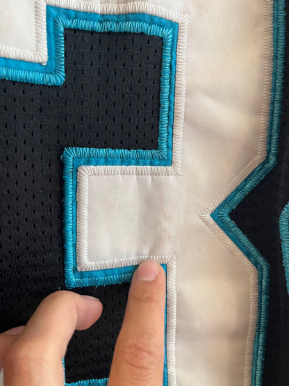 00s Carolina Panthers Reebok Stitched DeAngelo Williams Jersey (XL)