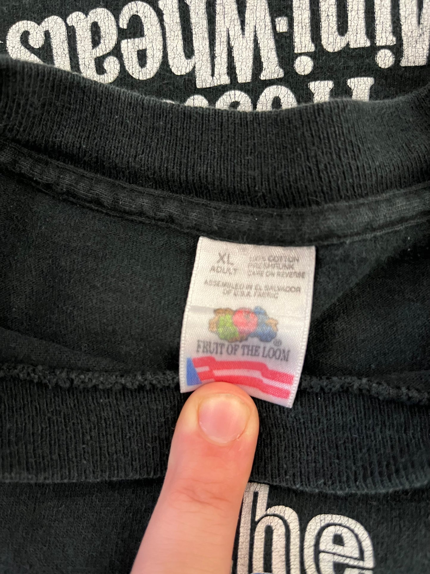 1995 Dale Earnhardt & Jeff Gordon Nascar Tee (XL)