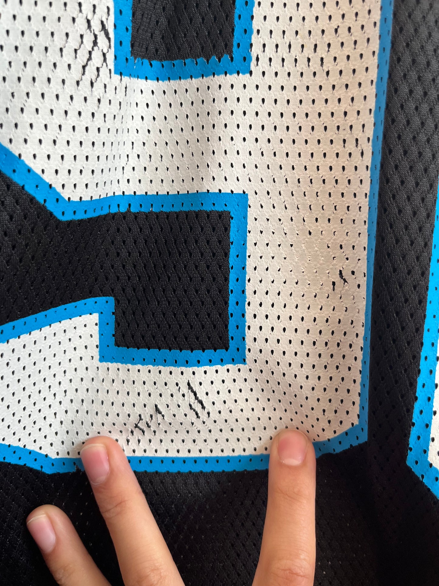 00s Carolina Panthers Julius Peppers Reebok Jersey (L)