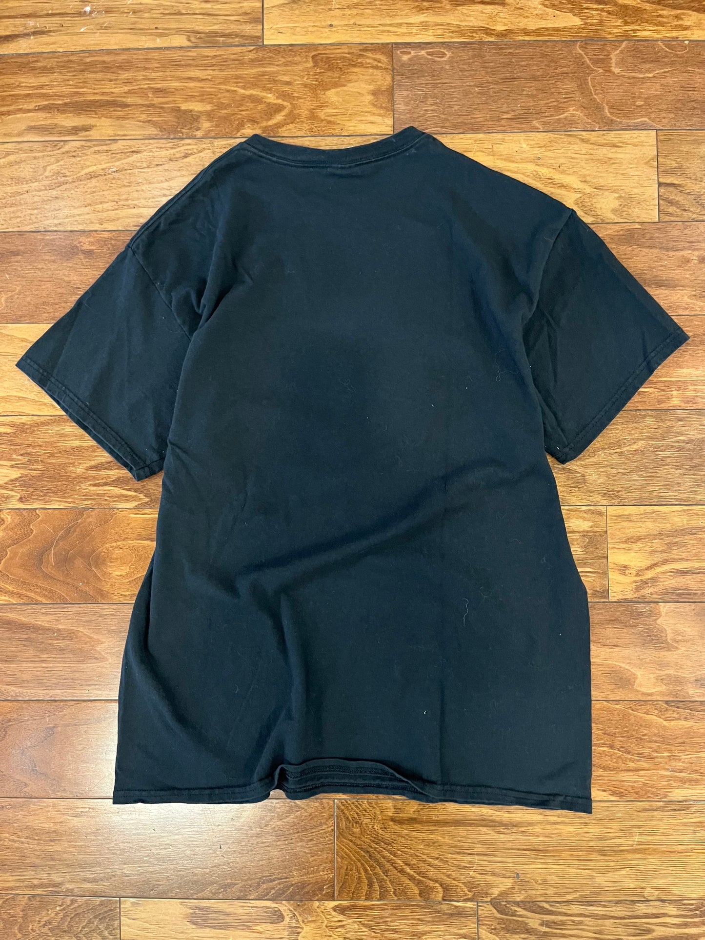 2016 Panthers v Broncos Super Bowl 50 Tee (L)