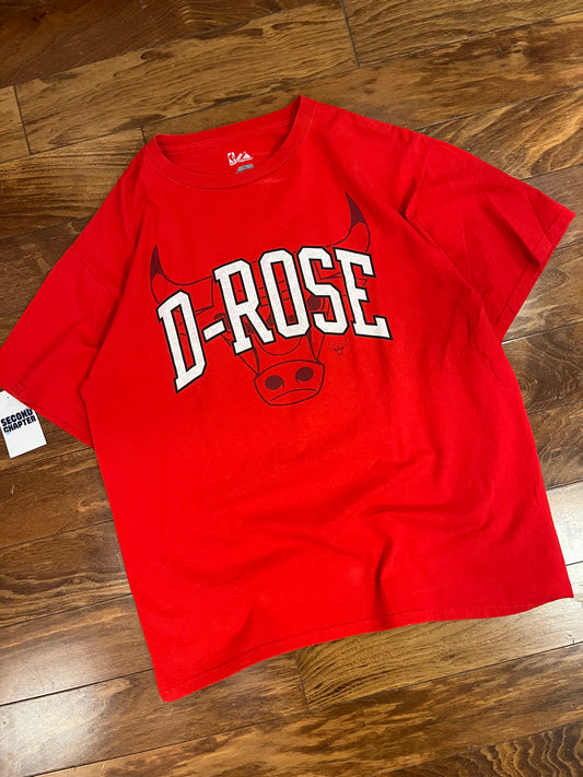00s Chicago Bulls Derrick Rose "D-Rose" Vintage NBA Tee (L)