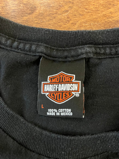 2009 Harley Davidson Killer Creek Tee (L)