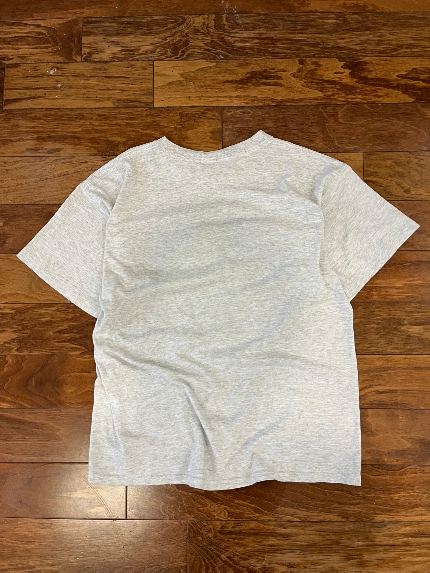90s American Eagle Earth Day Tee (L)