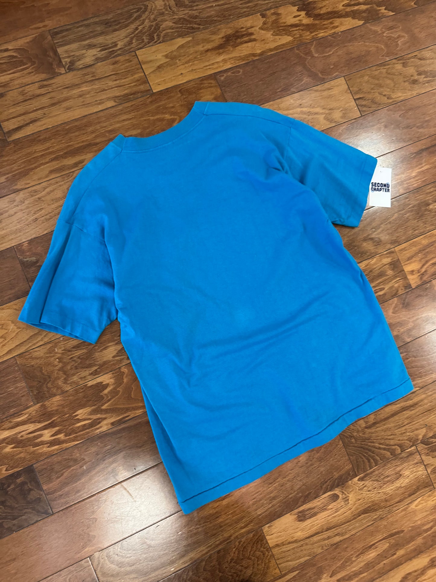 1995 Carolina Panthers Salem Sportswear Big Helmet Graphic Blue Vintage Tee (L)