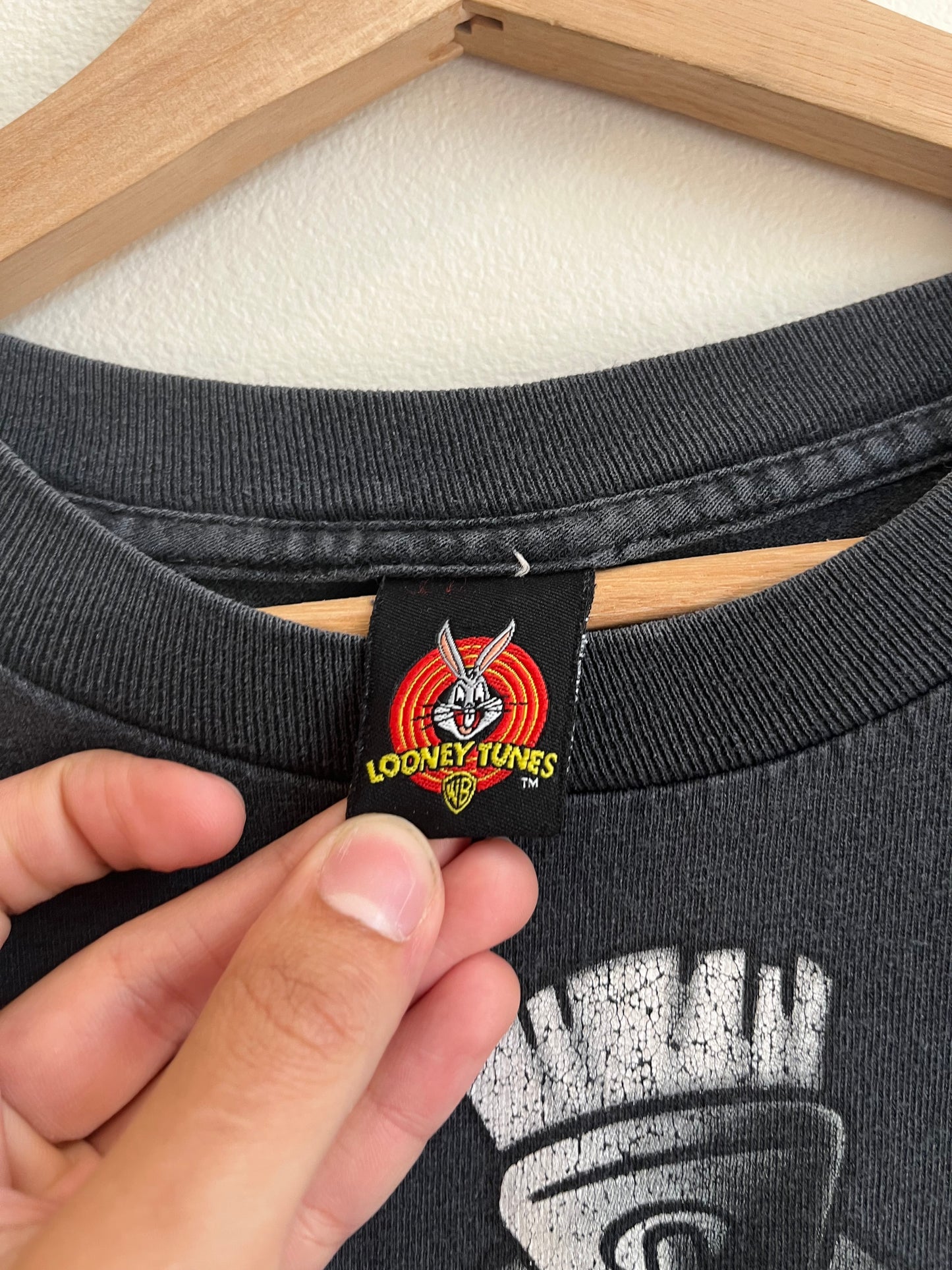 2009 Looney Tunes Characters Faded Tee (L)