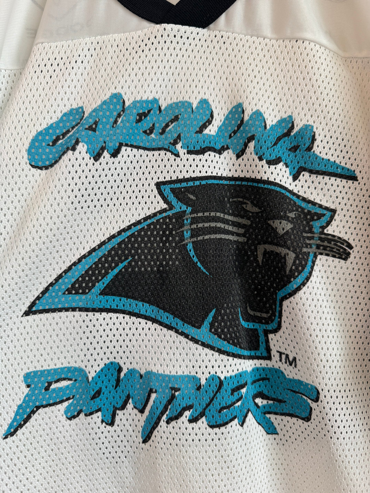 2005 Carolina Panthers Cat Scratch Spell Out Mesh Jersey (XL)