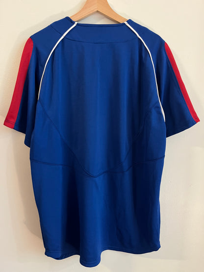 2008 Chicago Cubs Nike Baseball Jersey (L)