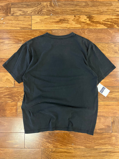 2008 Carolina Panthers NFC South Champs Tee (L)