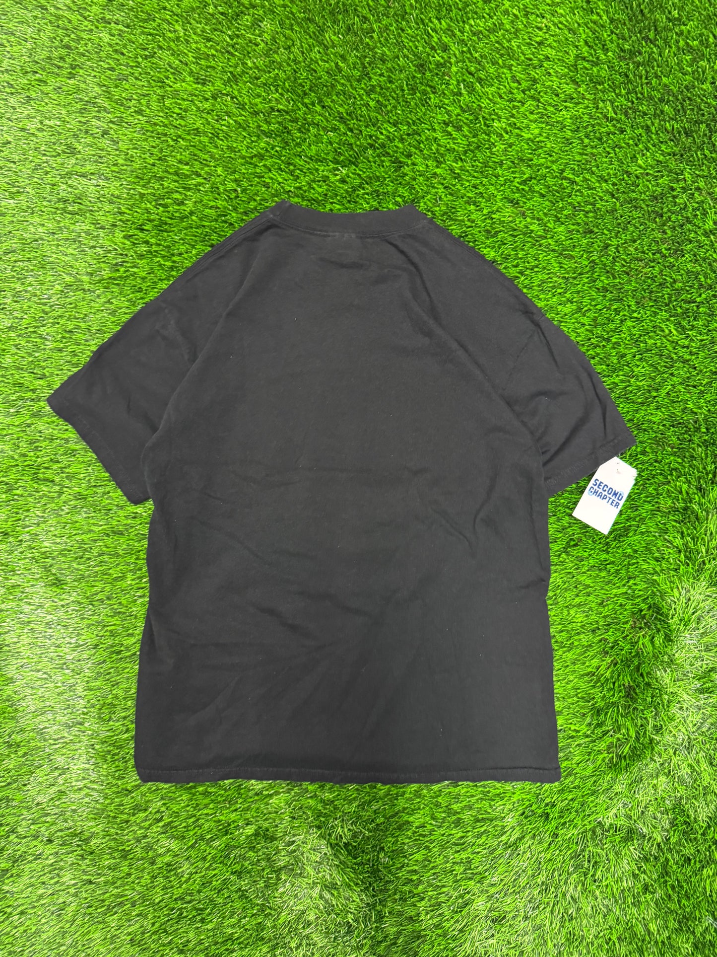 00s Carolina Panthers Hanes Spell Out Black Tee (L)