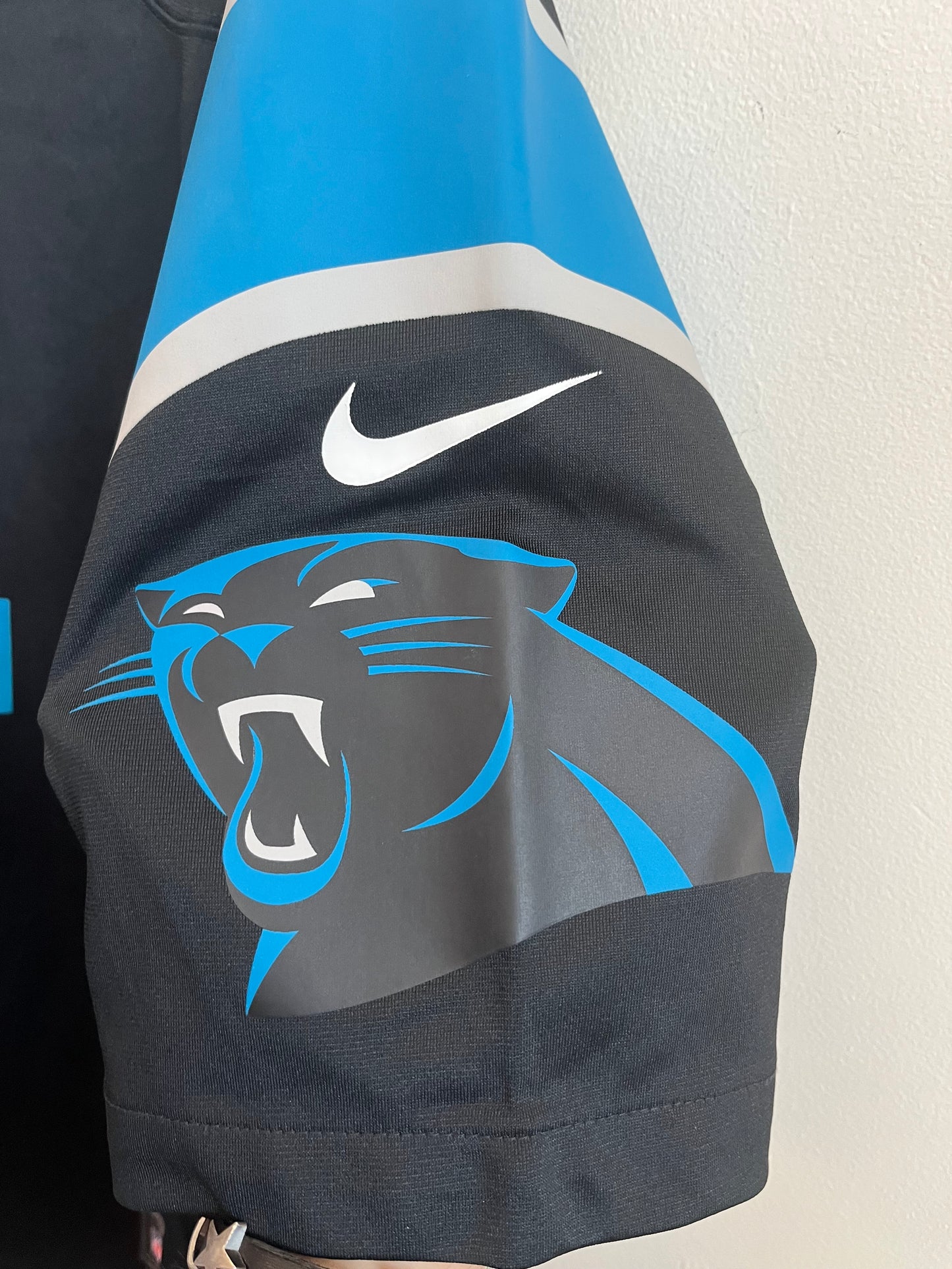 2015 Carolina Panthers Cam Newton Nike Home Jersey (L)
