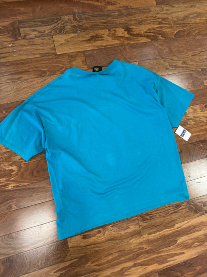 90s Charlotte Hornets Big Graphic Vintage Tee (XXL)