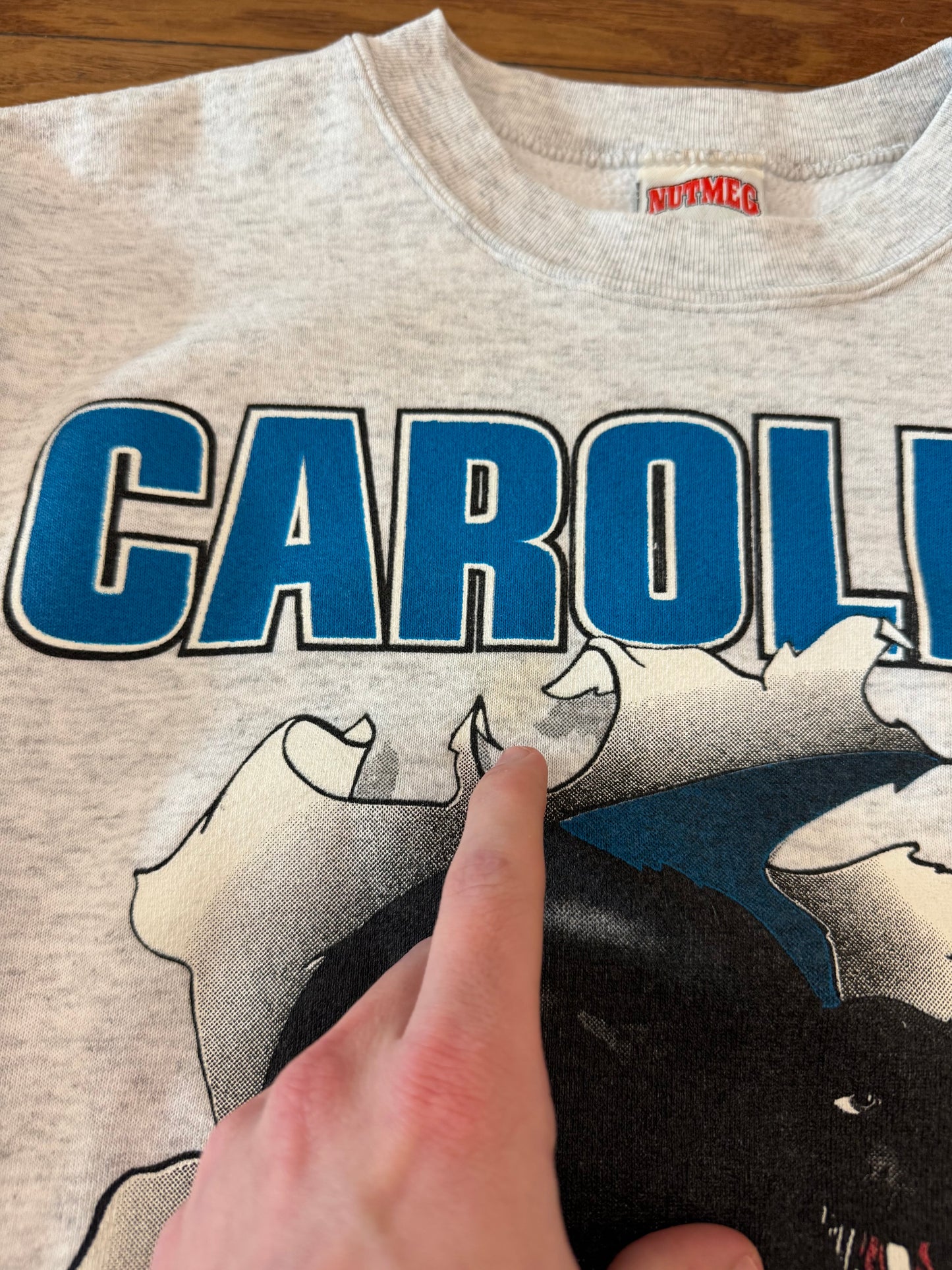 1993 Carolina Panthers Breakthrough Cat Graphic Vintage Crewneck (M)