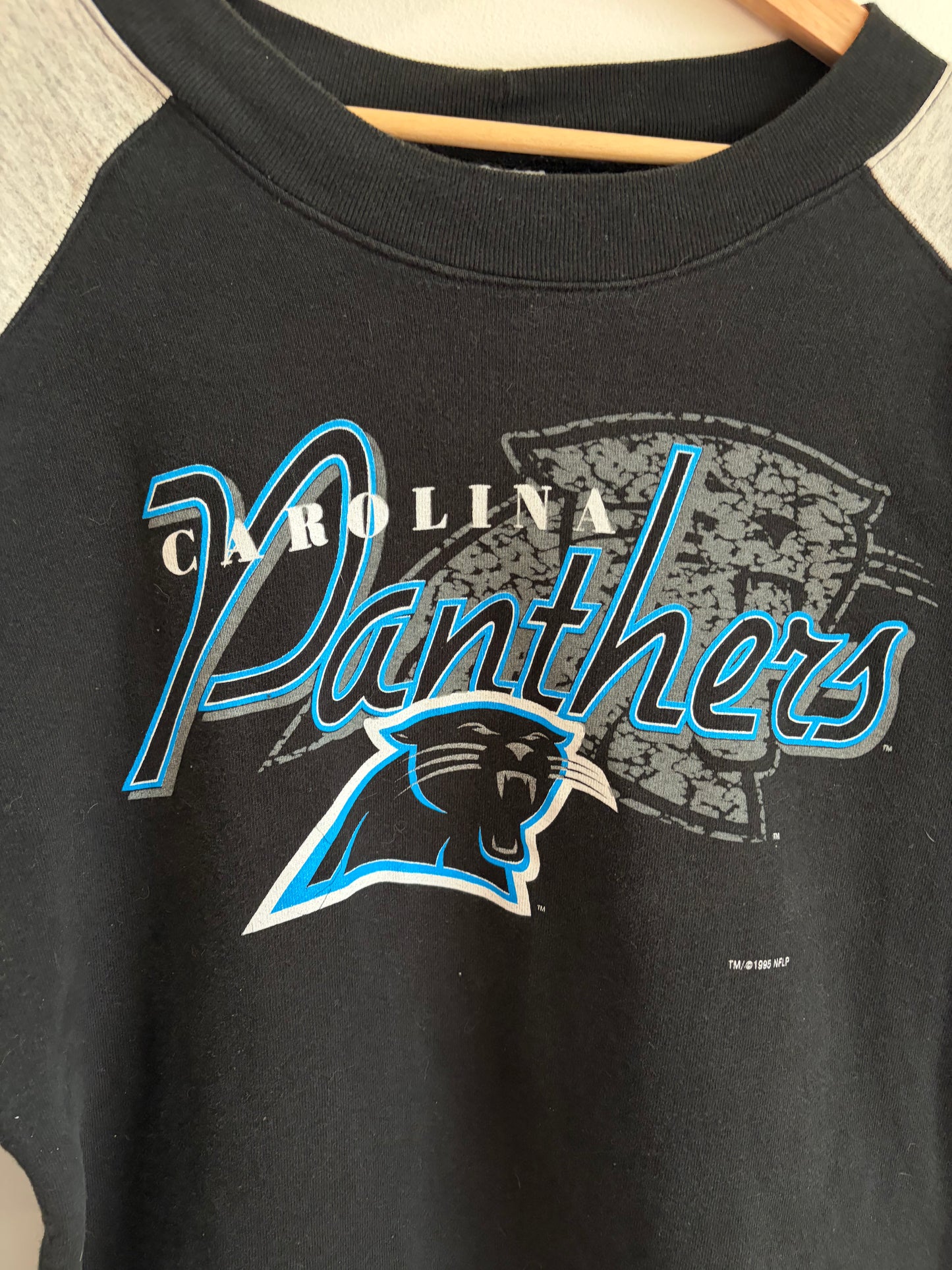 1995 Carolina Panthers True Fan Two Tone Crewneck (L)