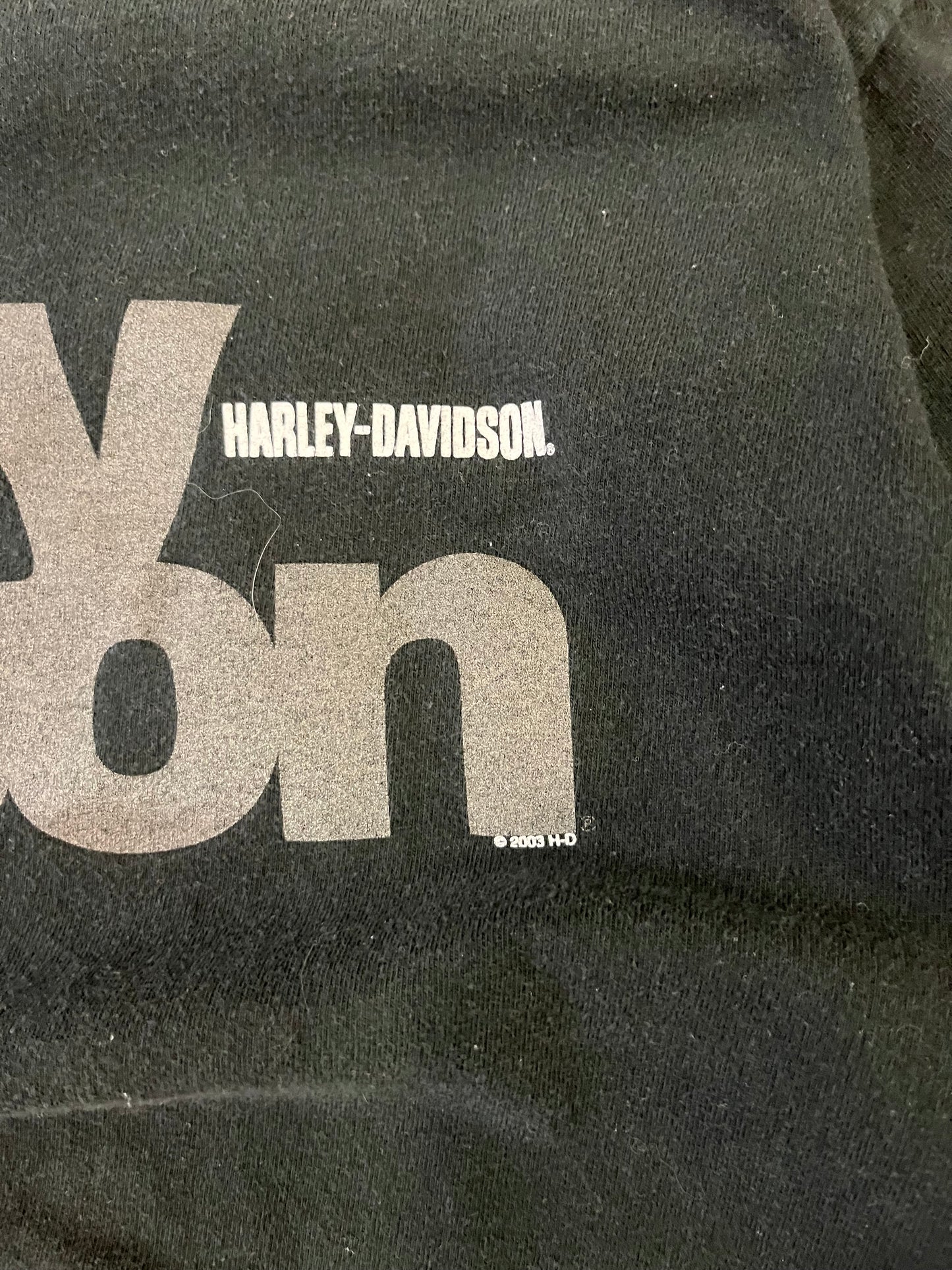 2003 Harley Davidson Faded Spell Out Tee (XXL)
