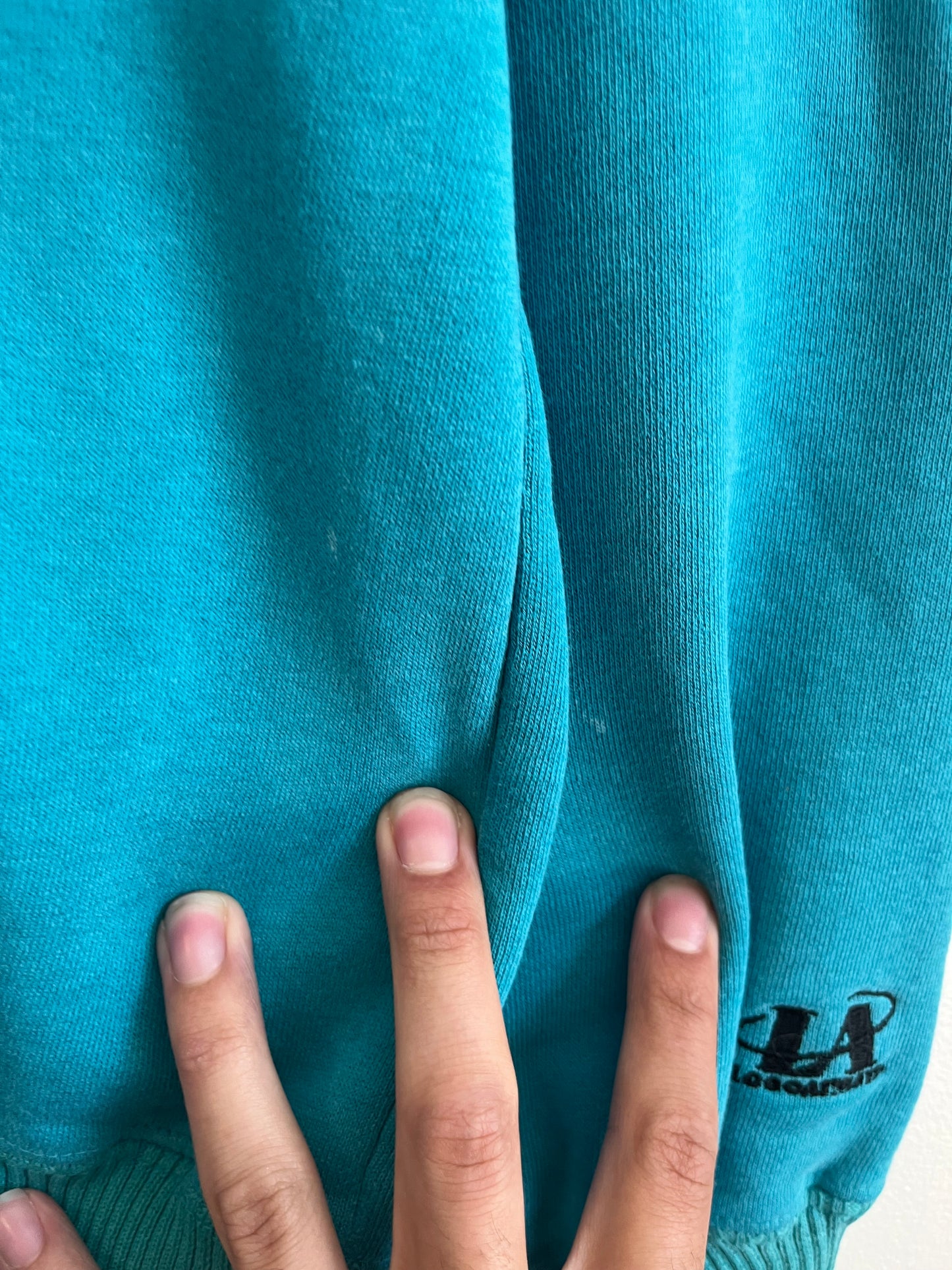 90s Charlotte Hornets Faded Logo Athletic Crewneck (L)