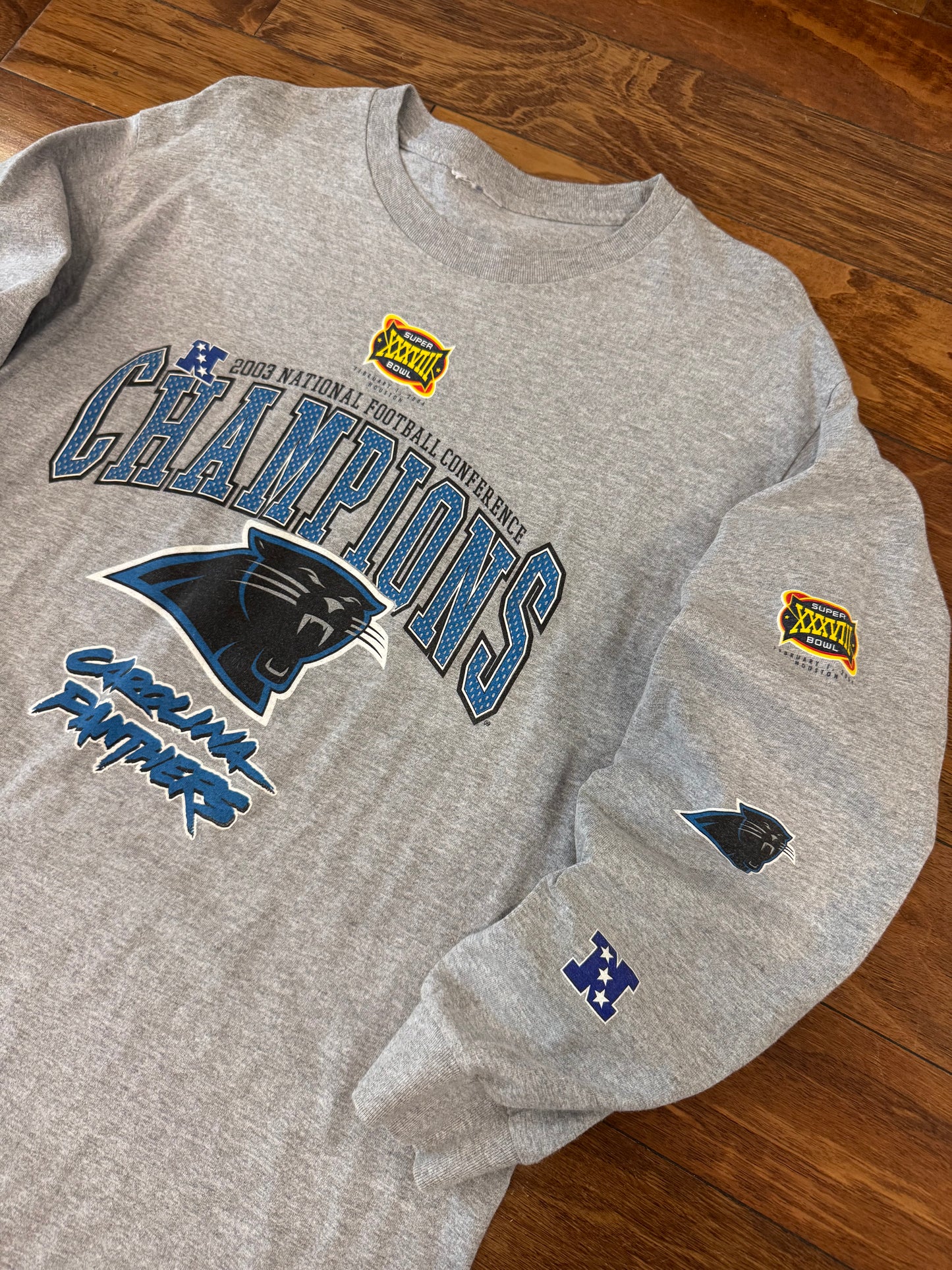 2003 Carolina Panthers Gray Long Sleeve Shirt (L)