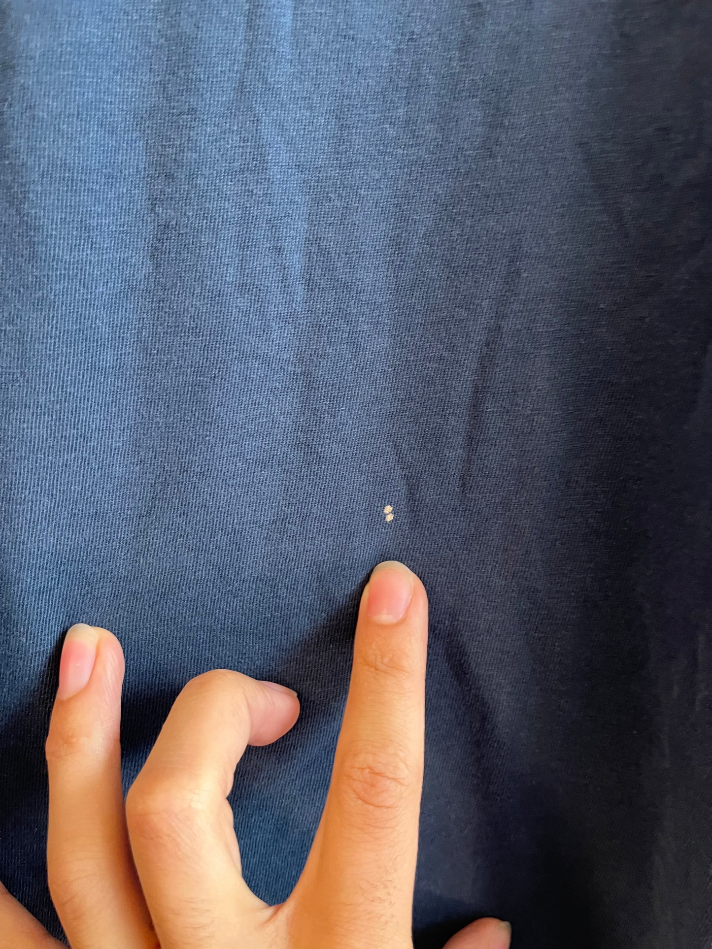 00s Fox Racing Y2K Distressed Faded Navy Tee (L)
