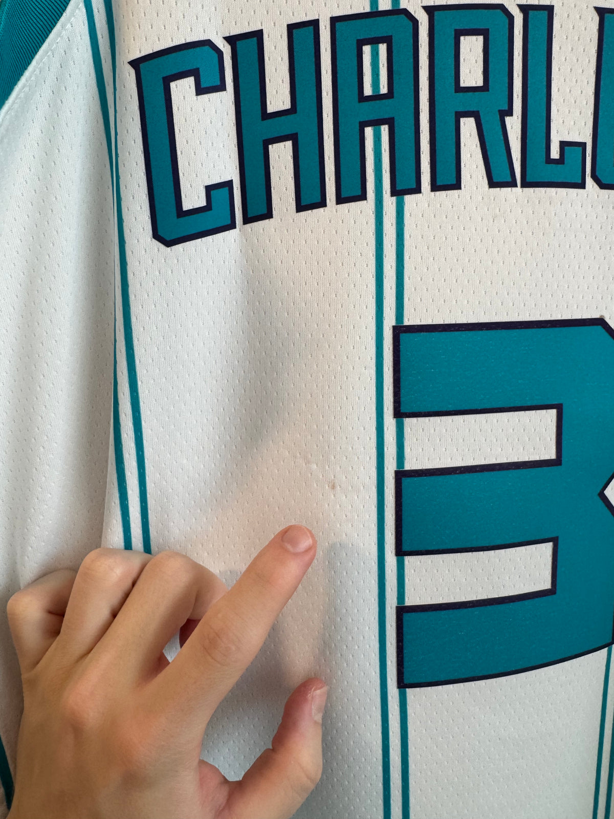 2021 Charlotte Hornets Terry Rozier III Away Jordan Swingman Jersey (L)