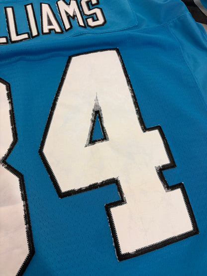 00s Carolina Panthers DeAngelo Williams Blue Stitched Flawed Jersey (XL)