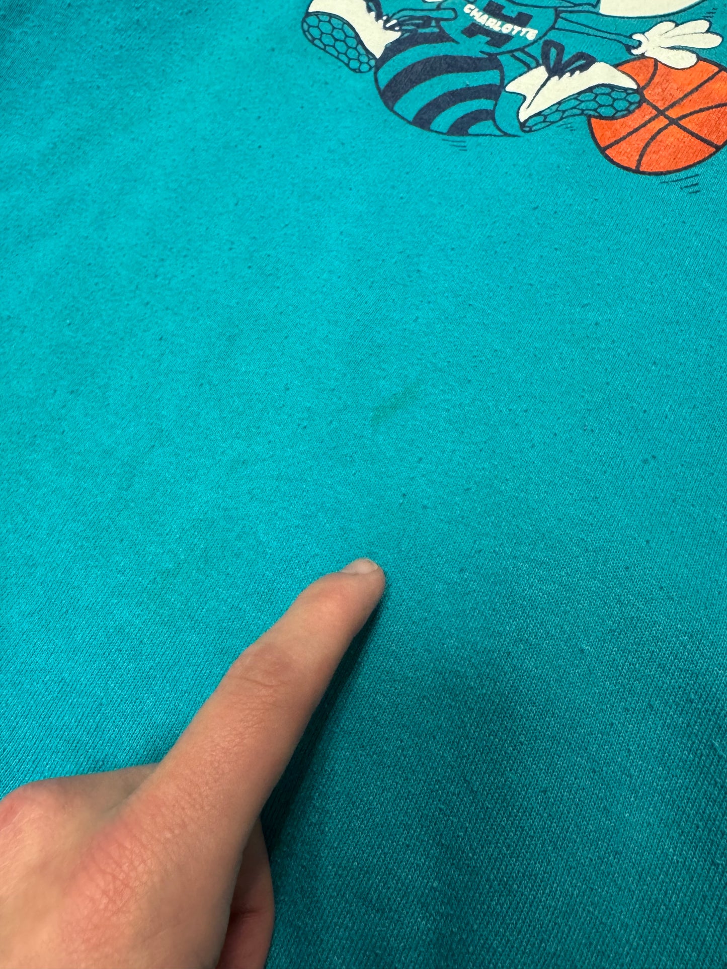 90s Charlotte Hornets Vintage Mascot Logo NBA Crewneck (L)