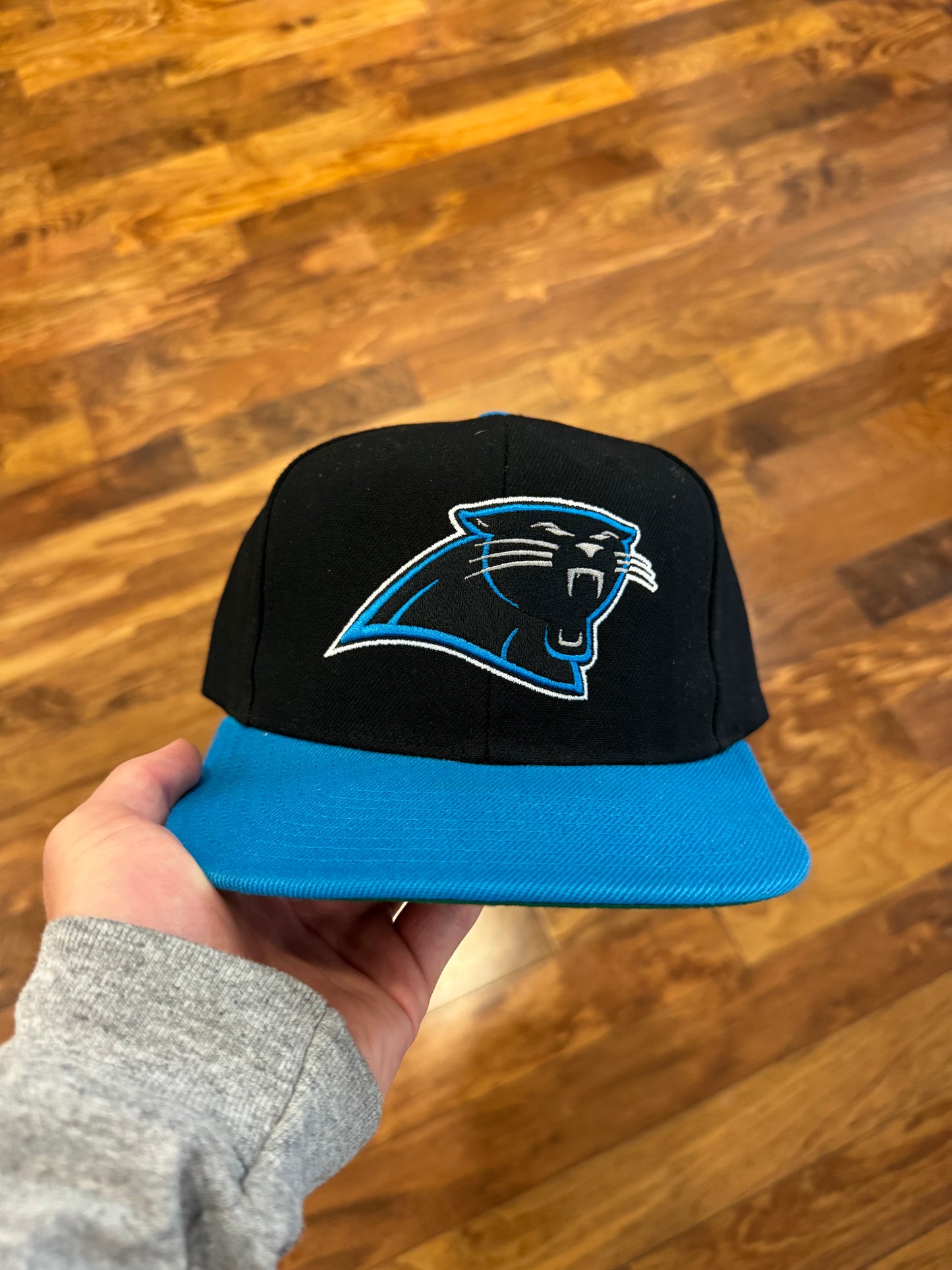Carolina Panthers Mitchell & Ness Logo Two-Toned Hat (OS)