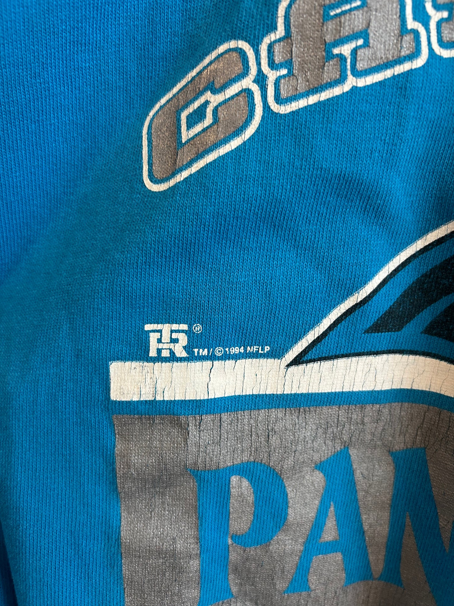 1994 Carolina Panthers 1/4th Sleeve Team Rated Shirt (Youth L)