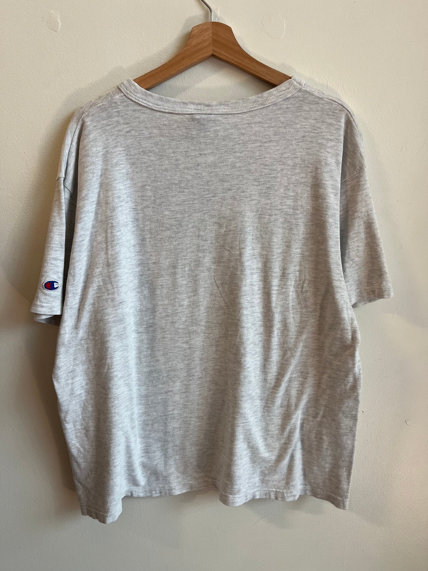 1993 Carolina Panthers XXL Champion Boxy Grey Tee (XL)