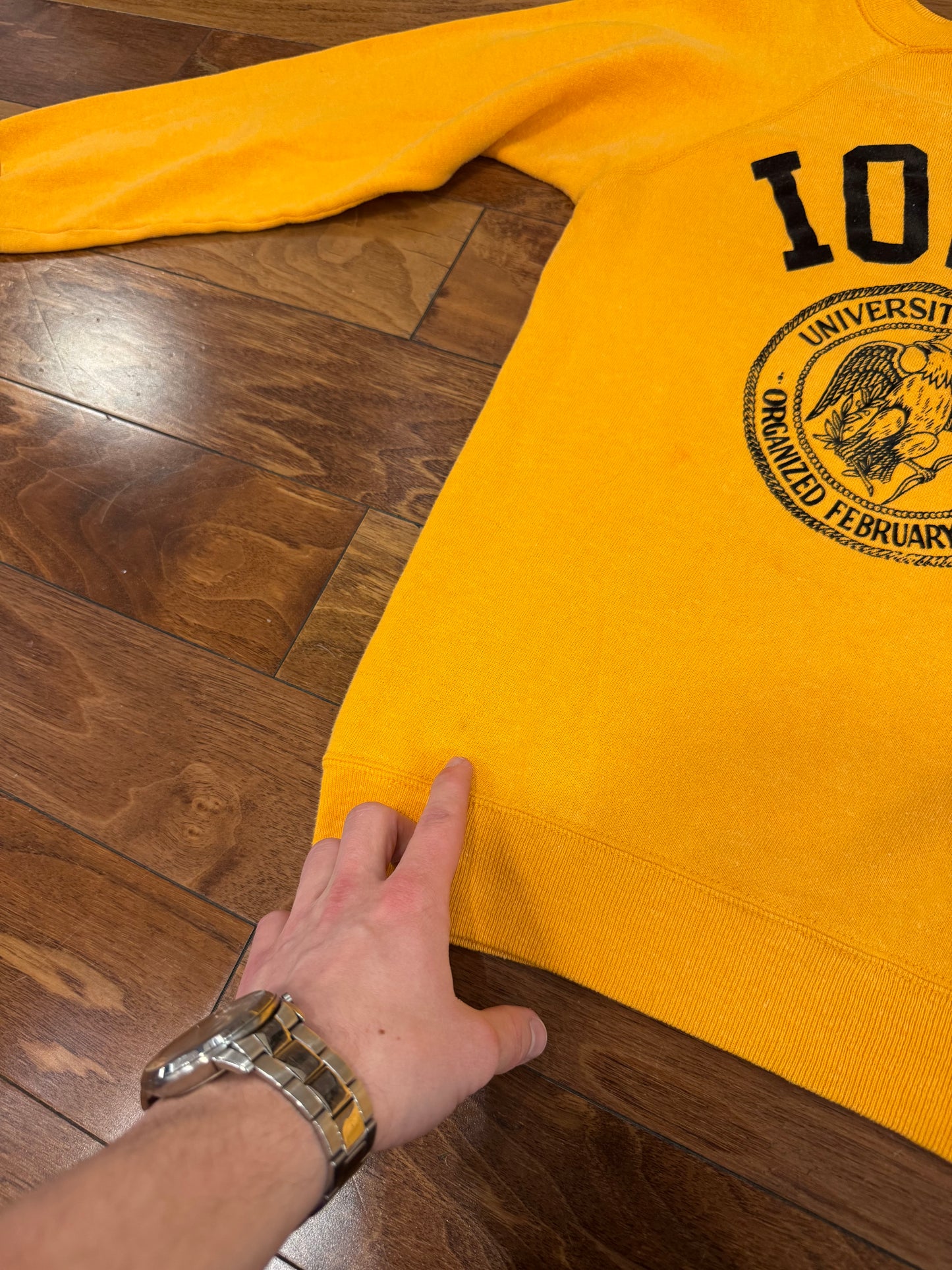 70s University Of Iowa Champion Vintage Crewneck (S)