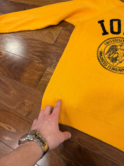 70s University Of Iowa Champion Vintage Crewneck (S)