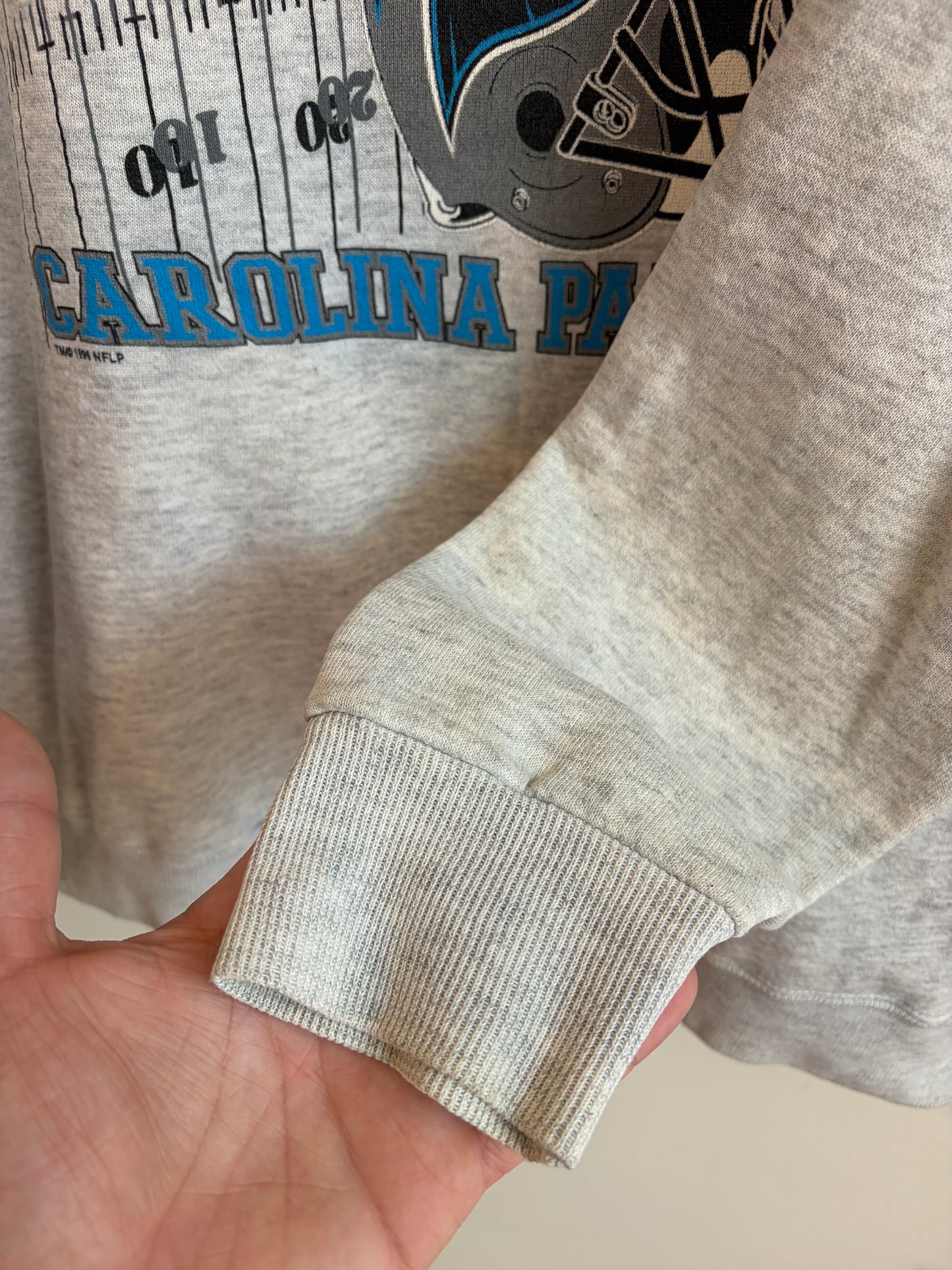 1996 Carolina Panthers NFC Western Division Crewneck  (L)