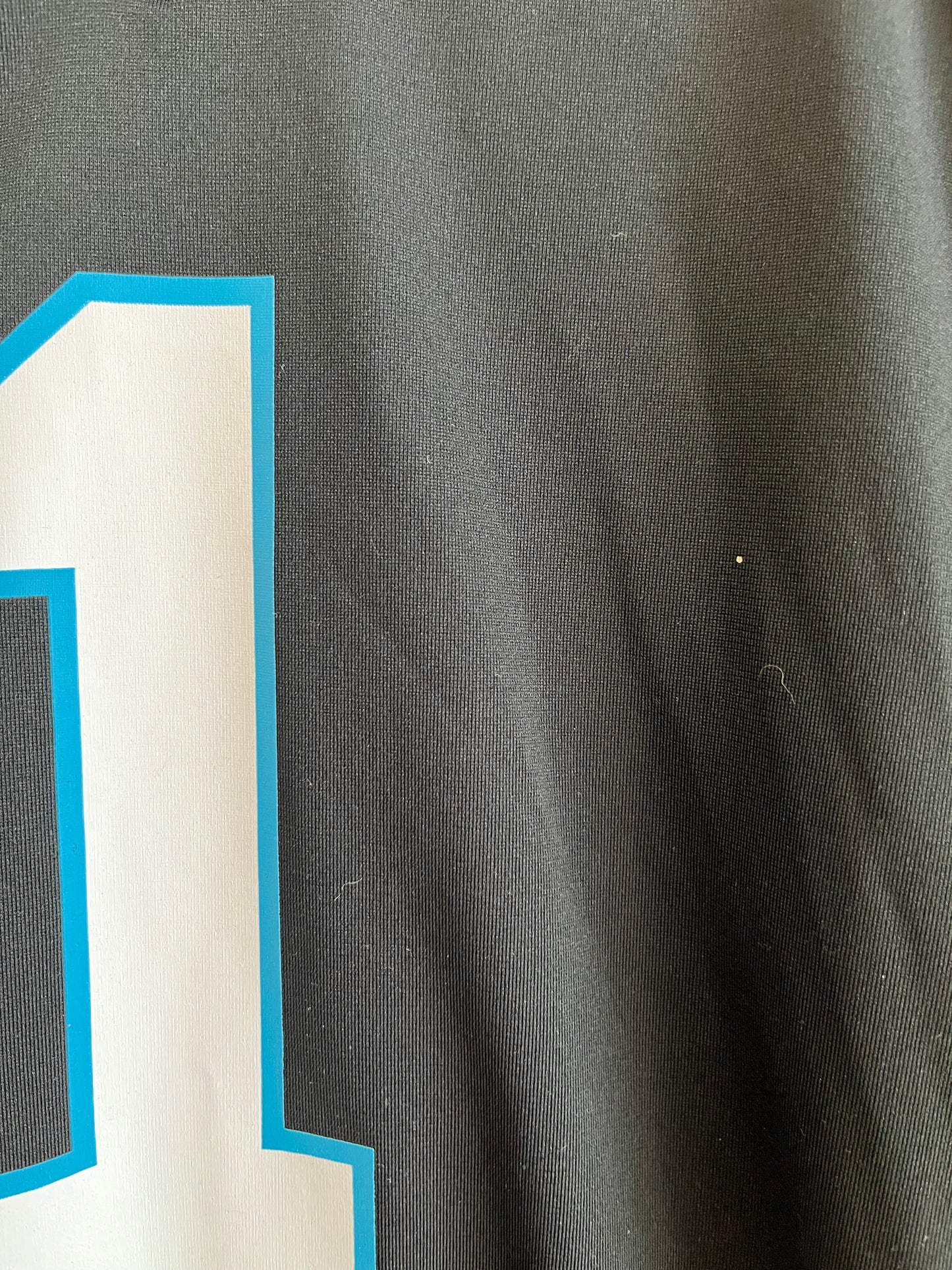 2015 Carolina Panthers Cam Newton Jersey (Youth XL)
