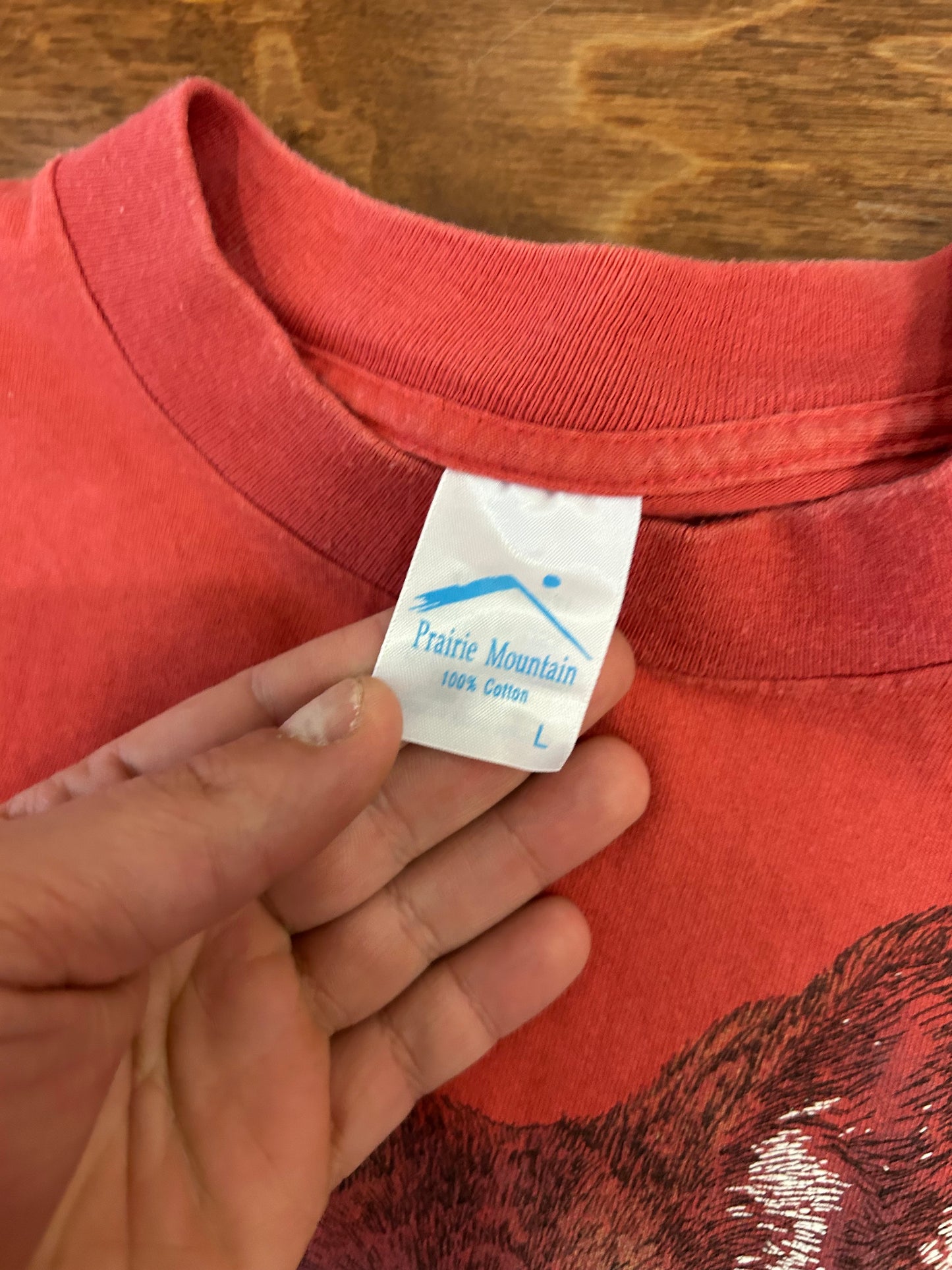 90s Penn's Cave Nature Tee (L)